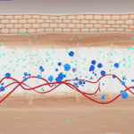 Animation 3D Médicale - Pharos Digital - Exsymol