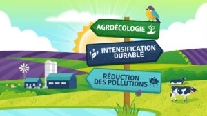 Vidéo Motion Design - Fondation pour la recherche sur la biodiversité - Pharos Digital