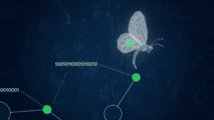 Motion Design | Pierre Guerin | Pharos Digital