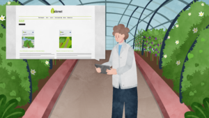 Motion Design | UForest | Pharos Digital