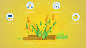 Motion Design | Becoop | Pharos Digital