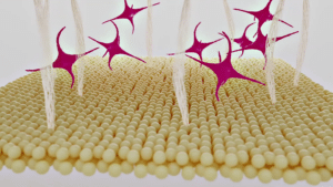 Motion Design | Exsymol - Body Confidence | Pharos Digital