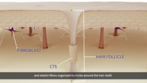 3D Animation | Exsymol Pores | Pharos Digital